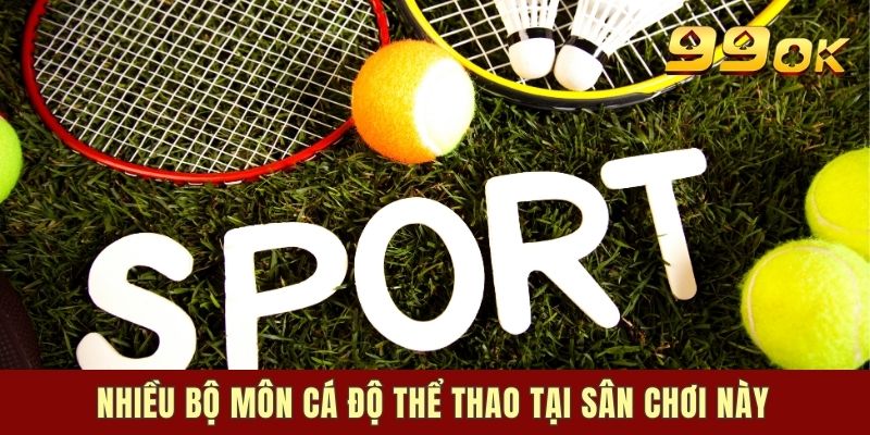 Nhiều bộ môn cá độ thể thao tại sân chơi này